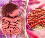 Study suggests link between probiotic use and “brain fogginess”