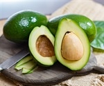 Eat one avocado per day for six months and get paid, weight loss study