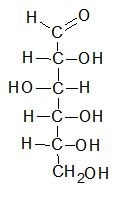 Fischer projection of D-glucose in its open chain form