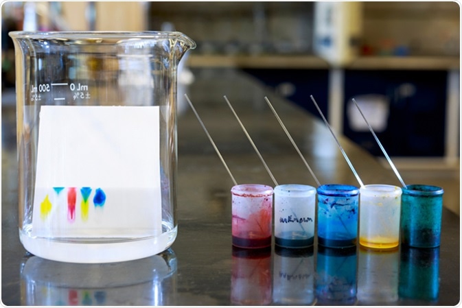 Chemistry of thin layer chromatography with plate, solvent and samples. Image Credit: ggw / Shutterstock