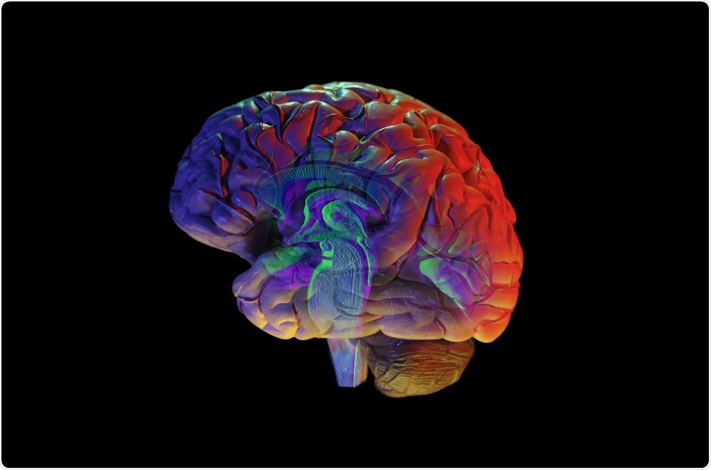 Illustration of pathways that are damaged in the brains of patients with Alzheimer