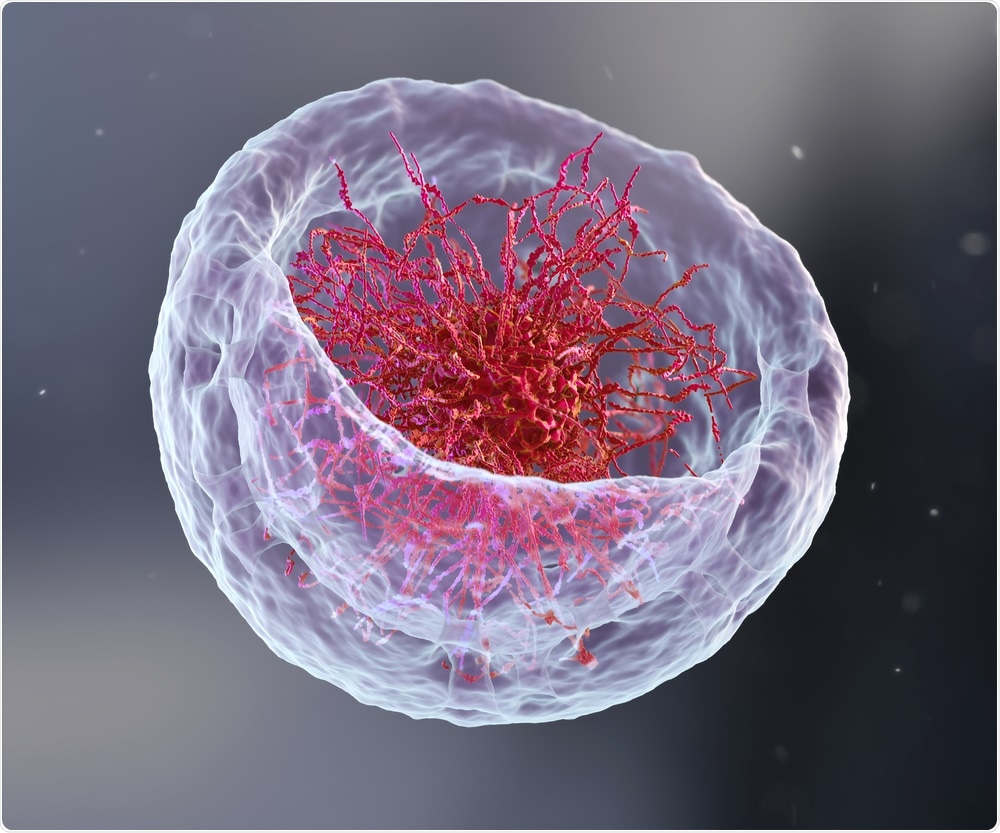 Chromatin in the cell nucleus - an illustration by YuriiHrb
