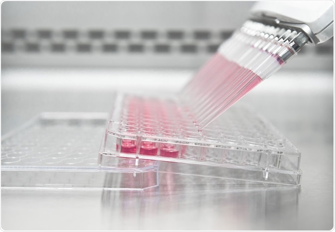 Culturing of HEK293 cells in a 96-well plate in the laboratory - a photo taken By unoL