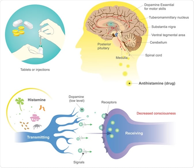 Antihistamines are drugs which treat allergic rhinitis and other allergies. Image Credit: Studio BKK / Shutterstock