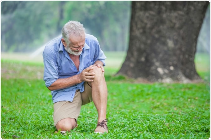 Image Credit: Iammotos / Shutterstock