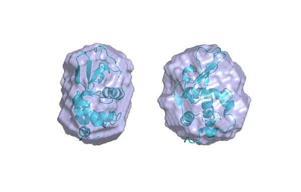 High-quality SAXS data in the lab