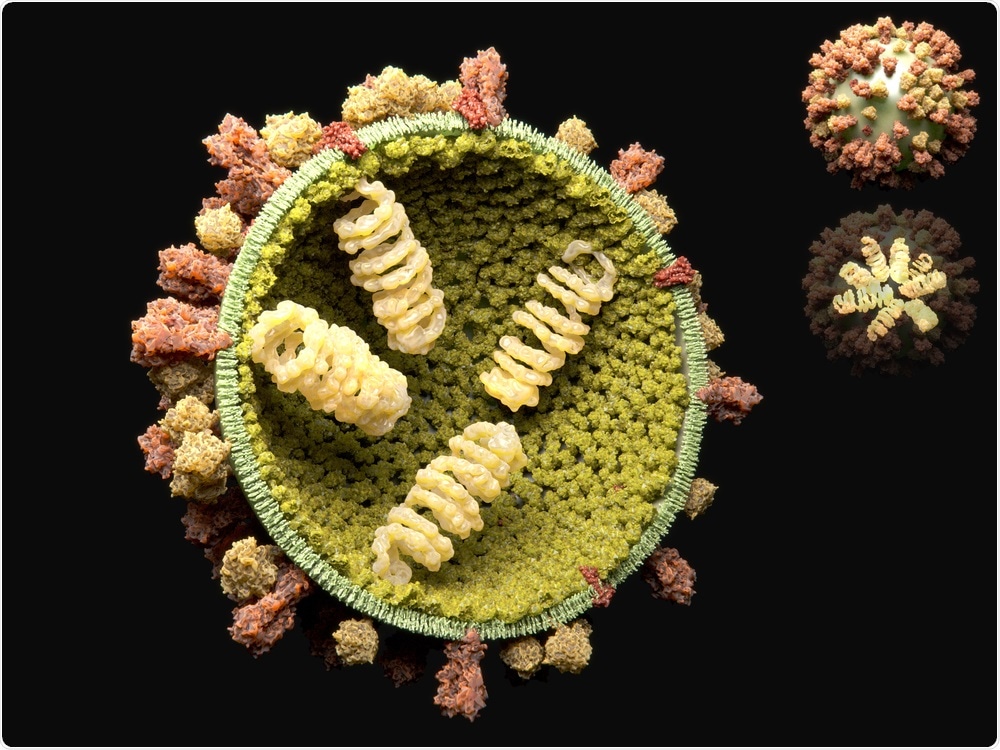 The influenza virus