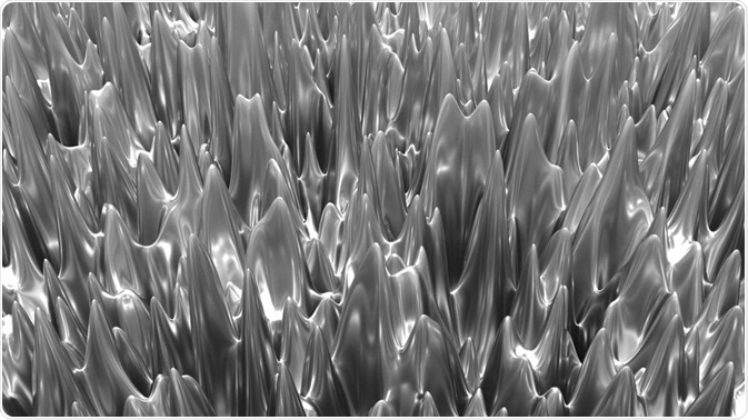 Image Credit: theglassifier / Shutterstock.com