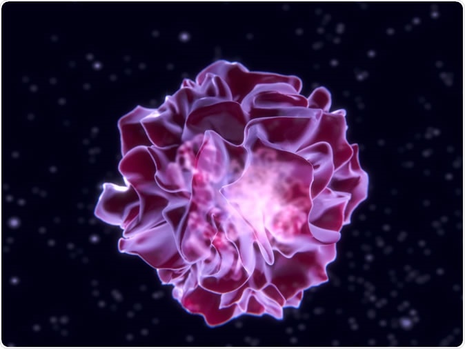 Dendritic cell. Dendritic cells are antigen-presenting cells of the immune system. They process antigen material and present it on the cell surface to the T cells of the immune system. 3D Rendering - Illustration Credit: Juan Gaertner / Shutterstock