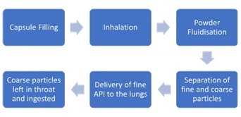 Dry Powder Inhaler Formulations