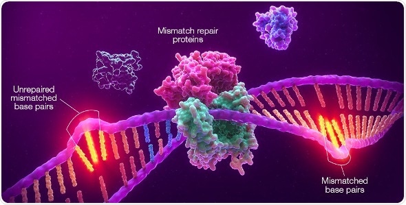 Promega and Merck collaborate to develop MSI companion diagnostic for use with anti-PD-1 therapy