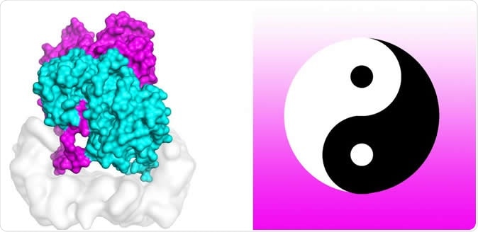 Scientists are using powerful supercomputers to uncover the mechanism that activates cell mutations found in about 50 percent of melanomas. Molecular dynamics simulations on TACC