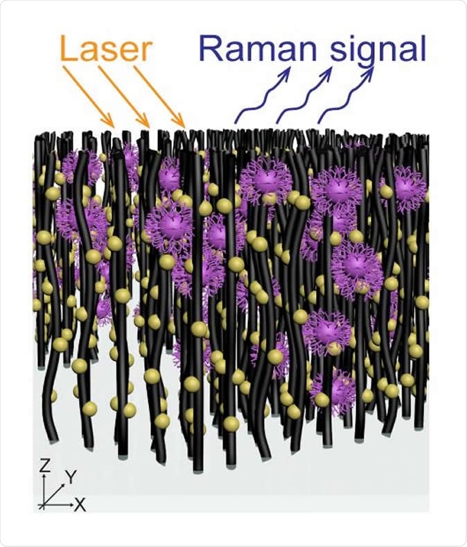 This is an array of nanotubes decorated with gold nanoparticles captures virus molecules. Image Credit: Terrones Lab/Penn State