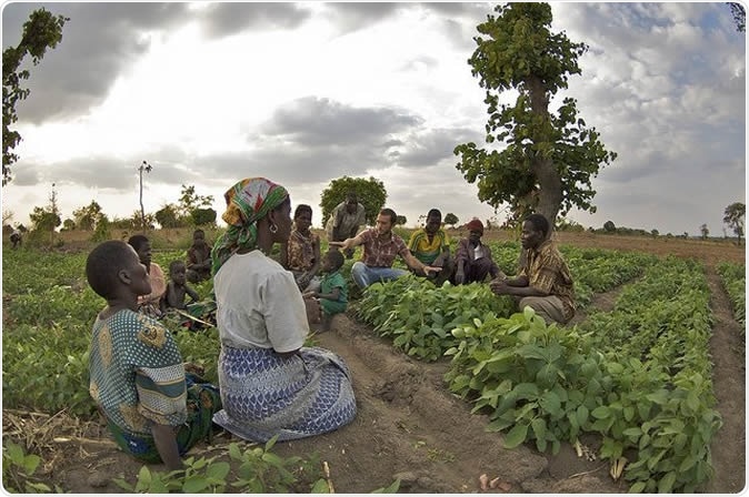 Image Credit: Feed the Future