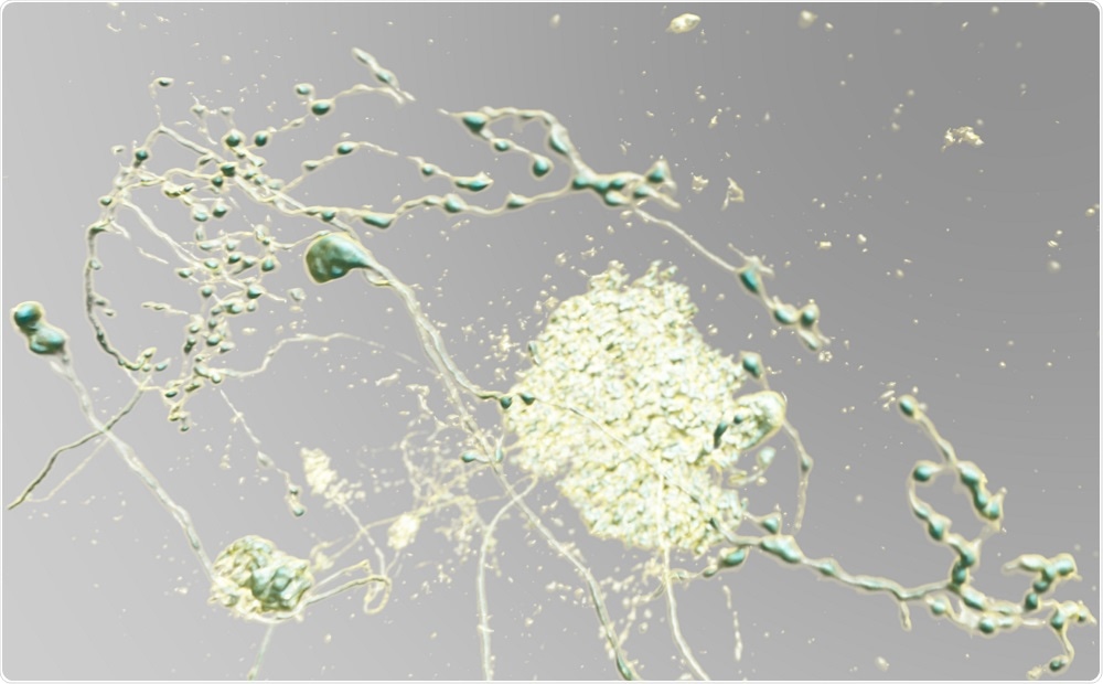 Observing neurons in VR from InViewR