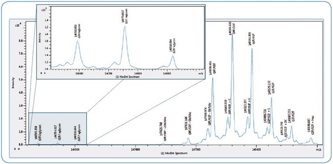 Intact mass screening of NIST antibody. Maximum entropy deconvoluted spectrum shows glycoforms detected across /> 2 orders of magnitude. Insert shows low abundant aglycon forms in more detail.