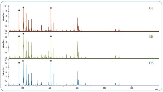 MALDI-TOF spectra of pure olive oil (OL), soybean oil (SB) and olive oil adulterated with 10% soybean oil (OS). The matrix peaks are labeled with*.