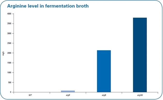 Extracellular levels of arginine in the fermentation broth in the wild type (wt) and the three different mutant strains. The highest levels of arginine in the fermentation broth were detected in debottlenecking by the overexpression mutant.