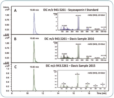 Retention time and MS/MS spectrum of the Soyasaponin I reference standard (A) match the chromatographic signal in the Davis food study samples reanalyzed in 2016 (B) and the corresponding data acquired in 2015 (approximately 12 months before) (C).