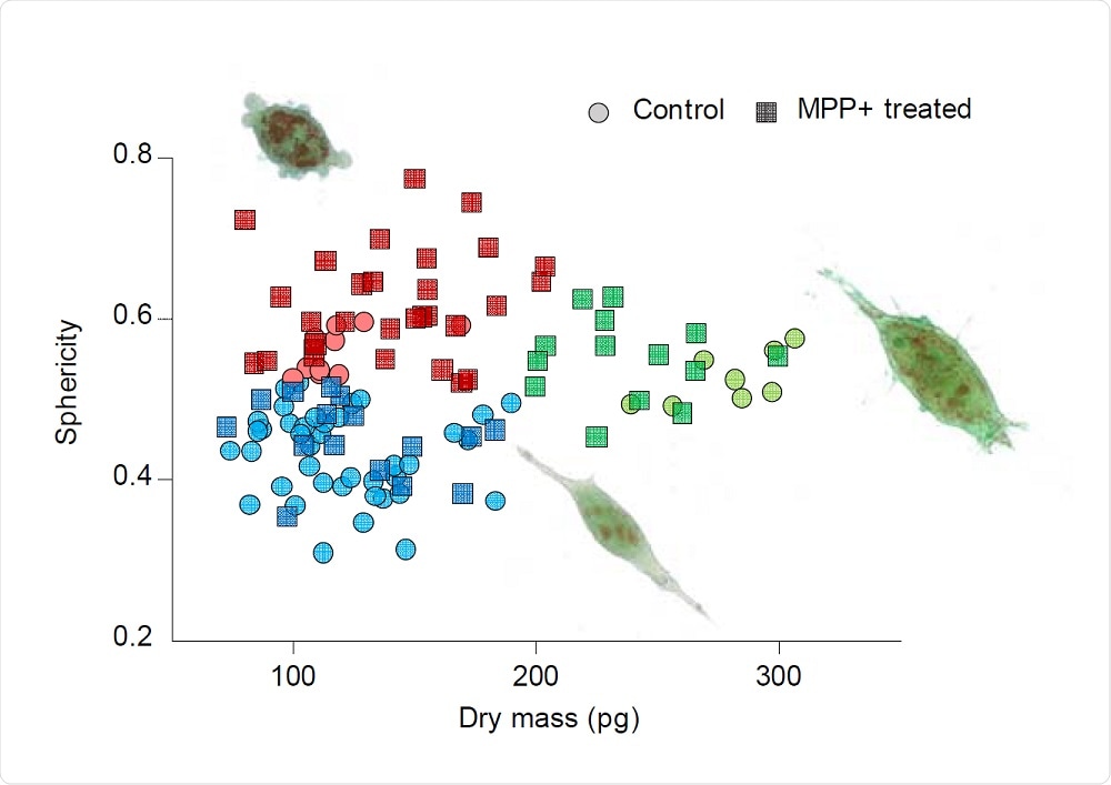 Monitoring the RI over time, cells undergoing mitosis were easily identified without the use of fluorescence labels.