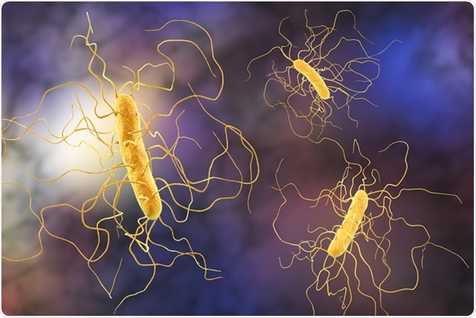 Clostridium difficile bacteria, 3D illustration. Credit: Kateryna Kon / Shutterstock