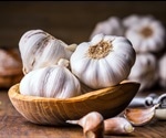 Could garlic oil represent an alternative to antibiotics in the food industry?