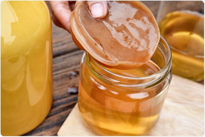 Scoby, Hand holding tea mushroom with kombucha tea. Image Credit: ARTFULLY PHOTOGRAPHER / Shutterstock