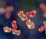 A Look at HDAC Antibodies