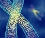 Study explores how losing the Y chromosome fuels bladder cancer aggressiveness