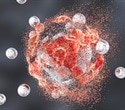 Study highlights potential of ferroptosis-based approaches to treat cancer