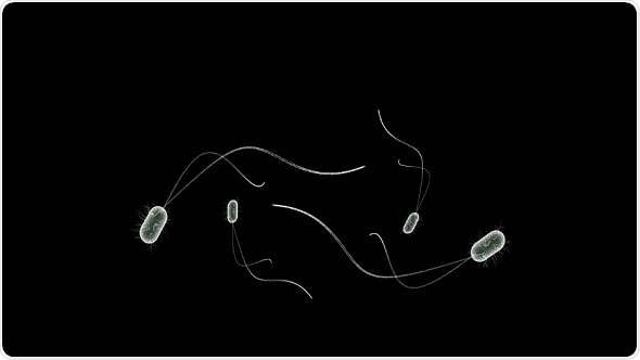 New computational modeling method predicts how gut microbes change over time