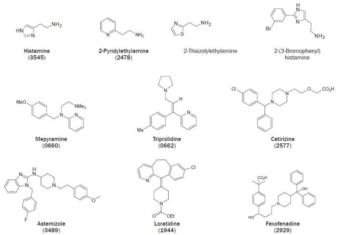 Chemical structures of selected H1 receptor ligands