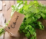Why cilantro (coriander) is good for your health