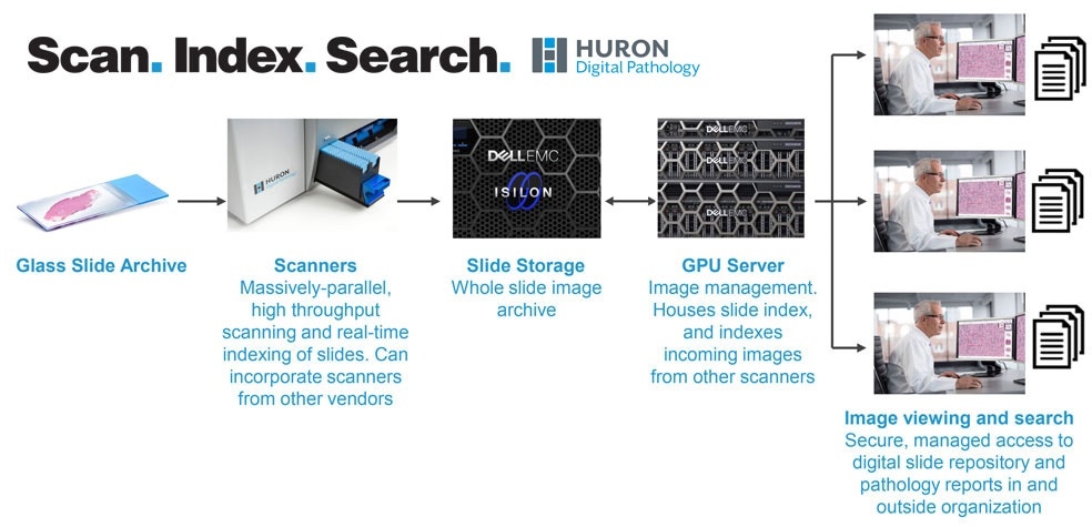 Scan, index, search pathology