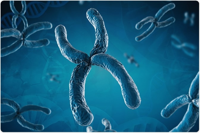 Image Credit: Phonlamai Photo / Shutterstock