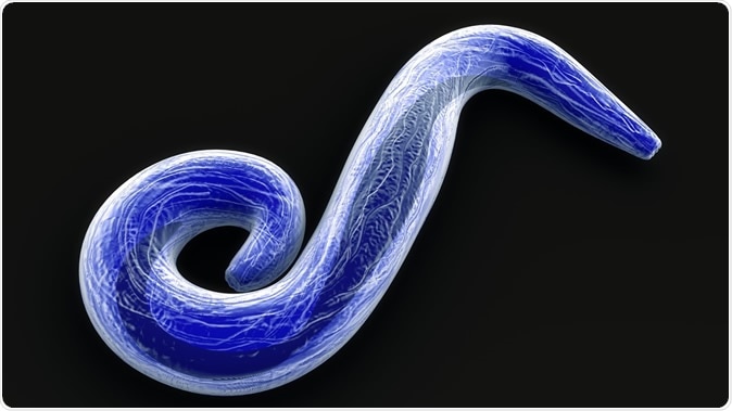 Plasmodium falciparum 3d illustration - Credit: Sciencepics / Shutterstock