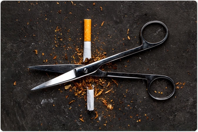 Image Credit: goffkein.pro / Shutterstock