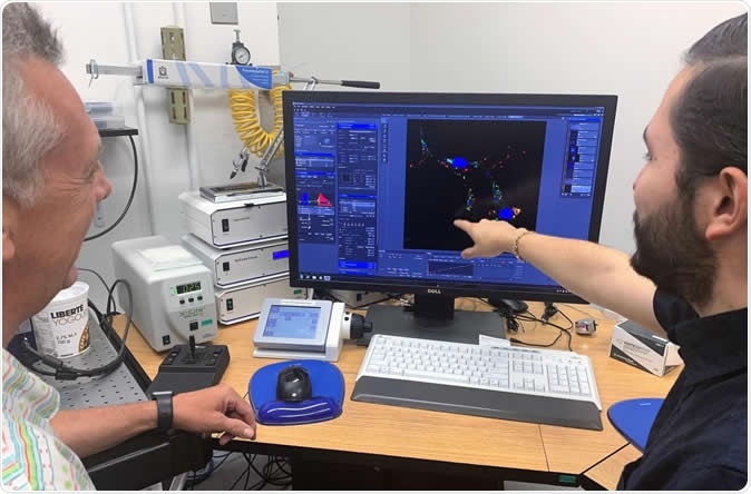 Albert Descoteaux and Guillermo Arango Duque from the Institut National de la Recherche Scientifique (INRS) in Quebec, Canada, have made a scientific breakthrough regarding the virulence strategy employed by the Leishmania parasite to infect cells of the immune system. Image Credit: Communications, Institut National de la Recherche Scientifique (INRS)