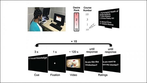 Engaging educational videos correlated with similar brain activity across learners