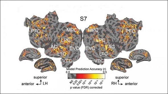 Nearly identical brain activity is evoked from processing written or spoken words