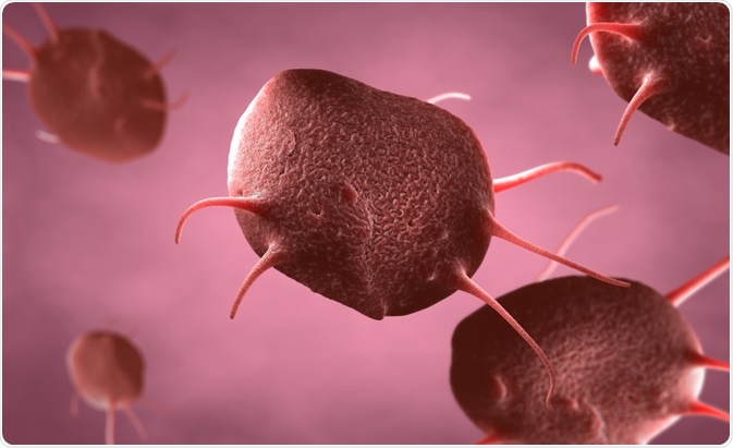 Activated platelets responding to open wound