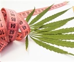Obesity Prevalence Among Cannabis Users