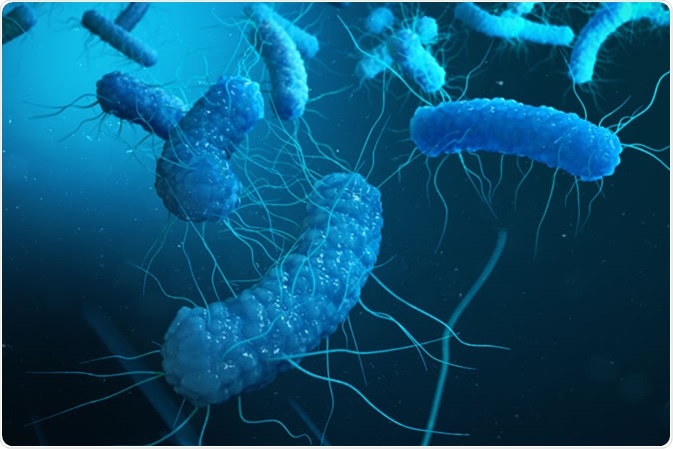 Proteobacteria - Image Credit: Rost9 / Shutterstock