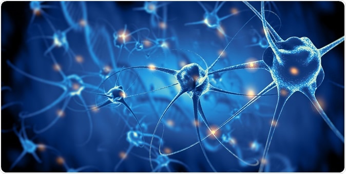 Image Credit: Giovanni Cancemi / Shutterstock