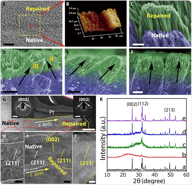Replication of the complicated structure of enamel, see paper for further explanation of images https://advances.sciencemag.org/content/5/8/eaaw9569