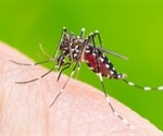 Zika virus exposure during pregnancy permanently shapes offspring's frontline immune cells