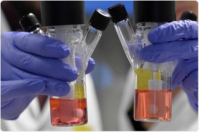 Hundreds of Organoids (miniature brains) were grown in the laboratories of the University of Trento to study the genetic mechanisms responsible for the most common brain cancer affecting children. Image AlessioCoser for University of Trento