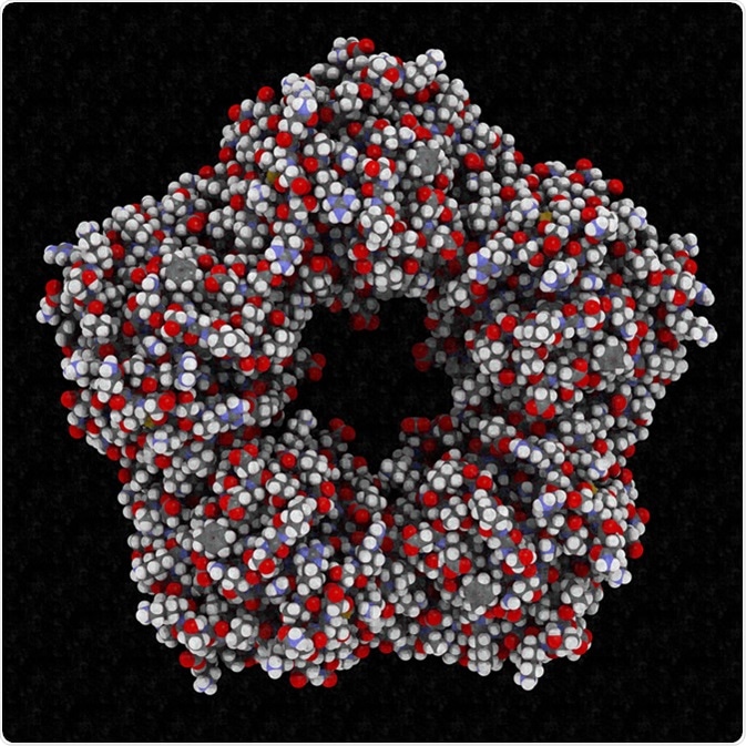C-reactive protein (CRP, human) inflammation biomarker, chemical structure. 3D rendering. Infections and inflammation cause increased blood levels of this protein. Atoms are represented as spheres. StudioMolekuul / Shutterstock