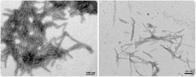 TEM of dGAEWT PFFs (SPR-461) (L), K18 ΔK280 PFFs (SPR-477) (R).