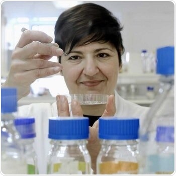 Book review: Nano comes to life by Sonia Contera